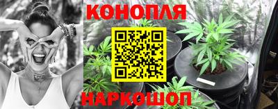 мдпв Славгород