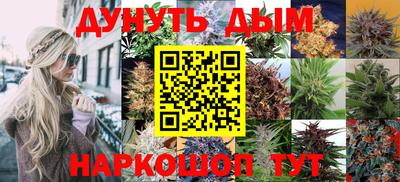мдпв Славгород