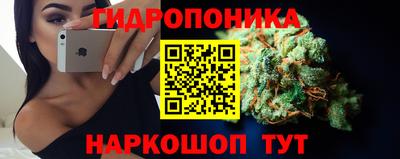 твердый Сланцы