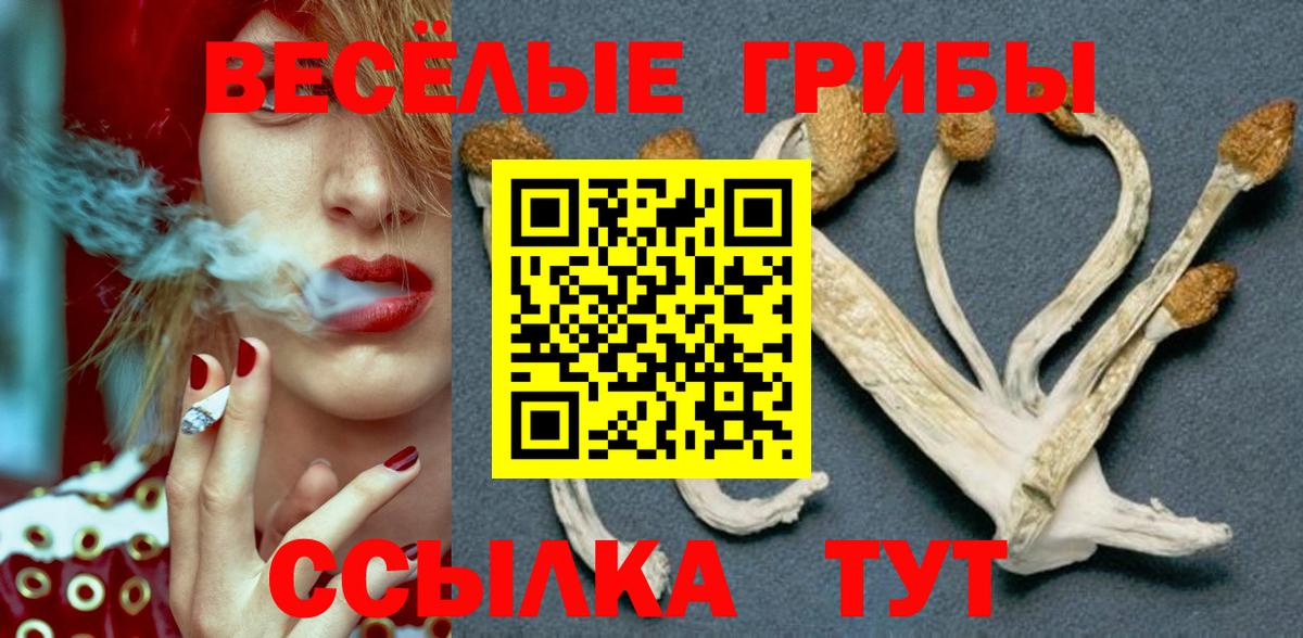 Галлюциногенные грибы Magic Shrooms  Вход с VPN  Галлюциногенные грибы прущие грибы  Бахчисарай 